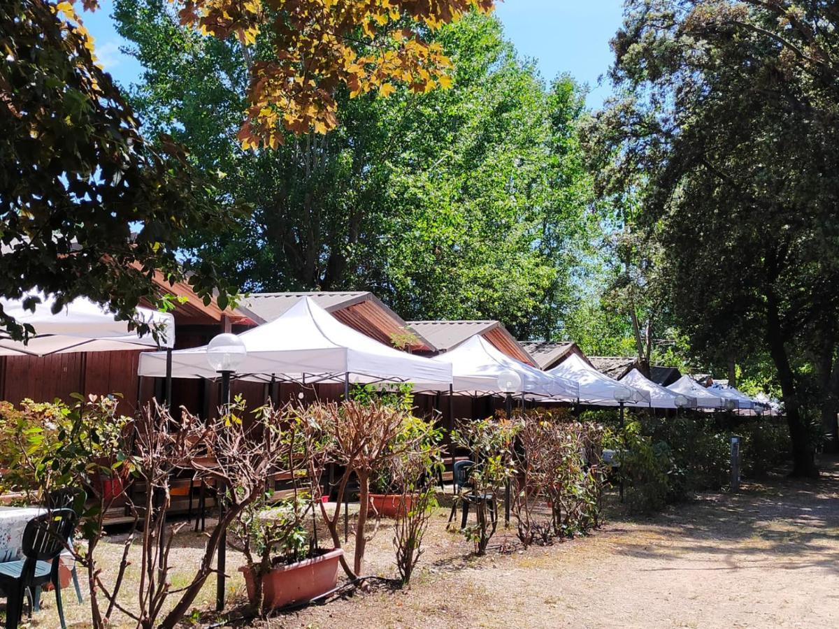 ホテルCabana Camp マッサ 部屋 写真